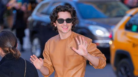 timothee prada|Timothée Chalamet’s Been Dressing up a Storm on .